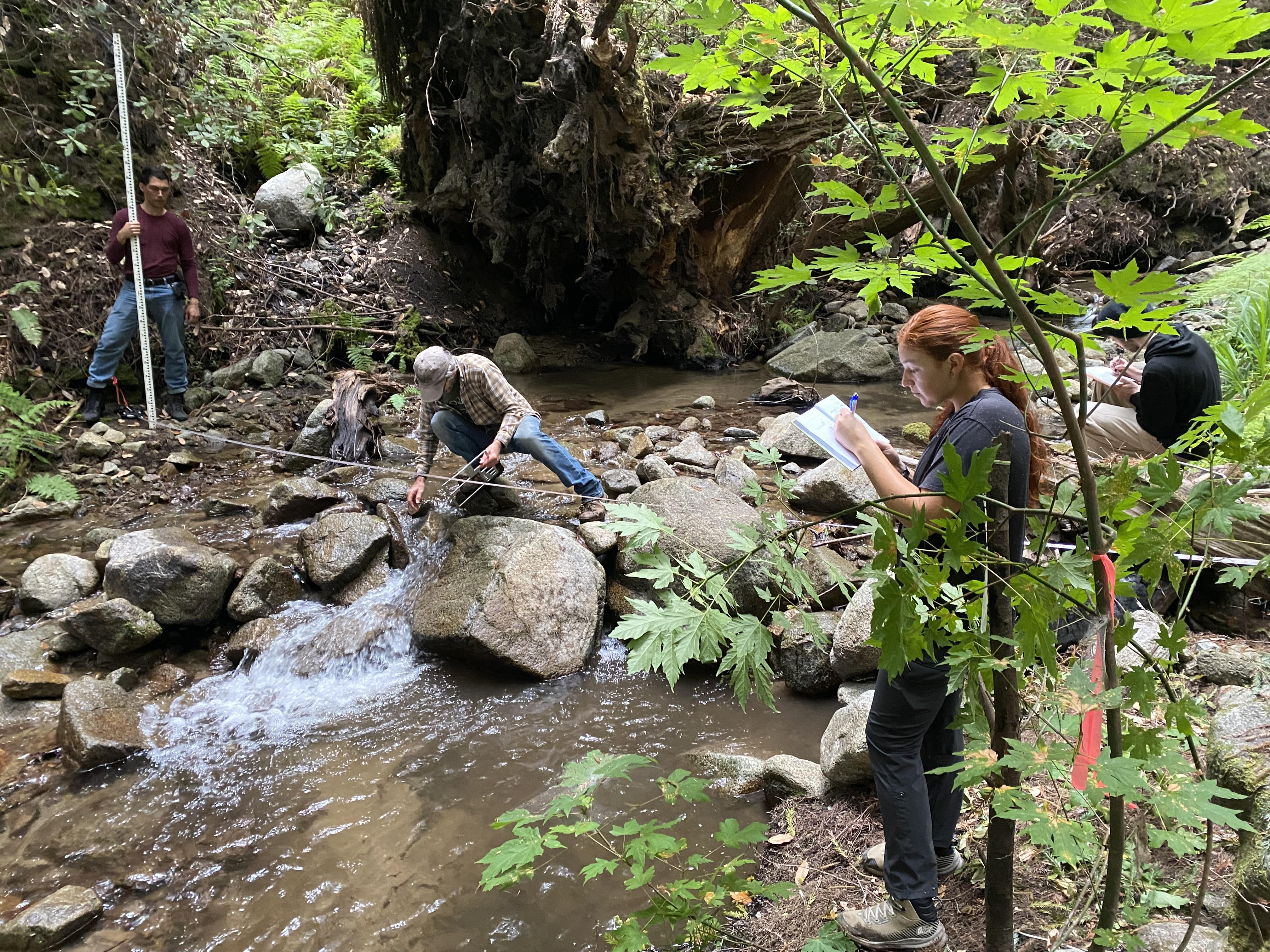 四位科学家正在一条小溪边工作.  两位科学家在测量岩石，另外两位在记录数据.